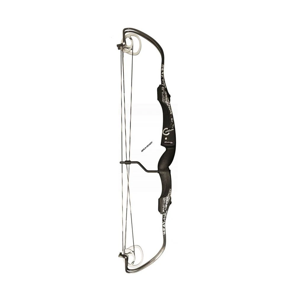 Rolan Cambium Compound Bow 3 Rolan Cambium Compound Bow